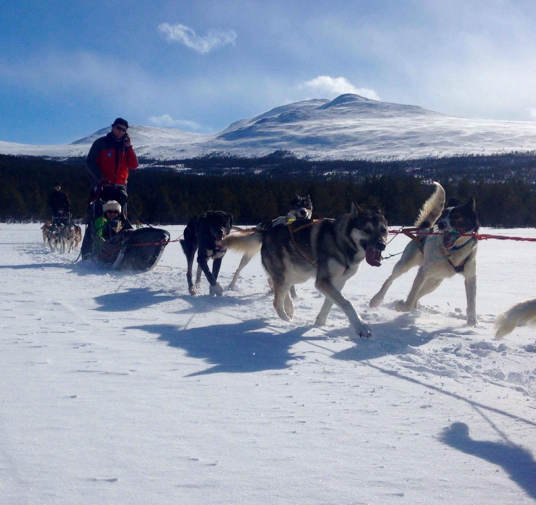 Dogsledding in Sjodalen